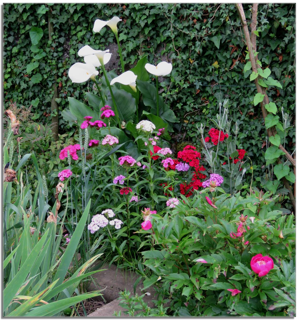 ENTRE  DEUX  AVERSES  AU  JARDIN 