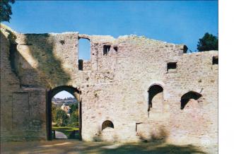 LES REMPARTS DE CREVECOEUR-EN-AUGE (Calvados)