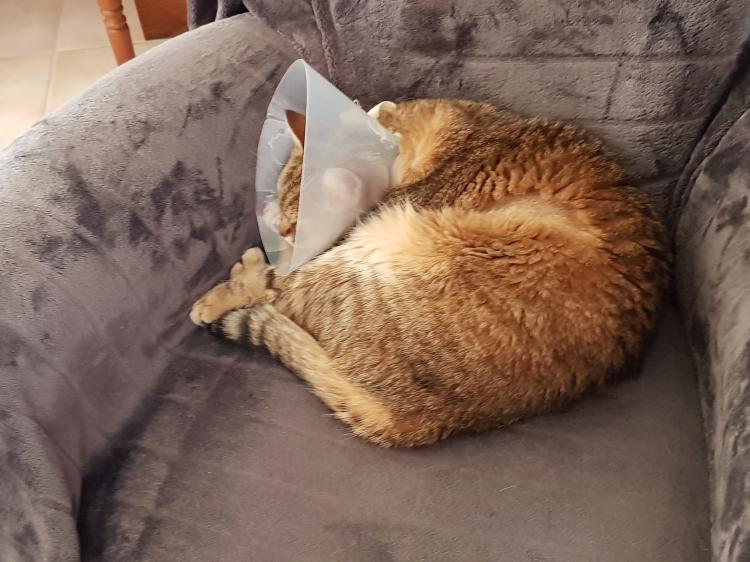 Dimanche c'est Quya