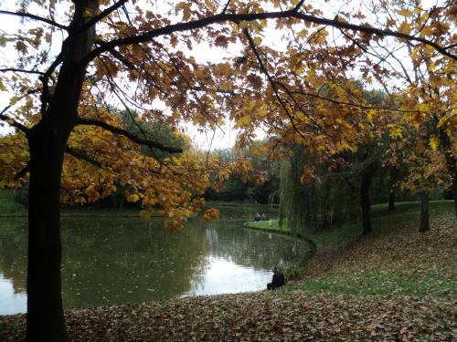  * Wattrelos - Le Parc du Lion