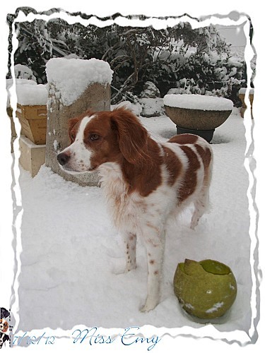 2012 12 07 emy neige 1