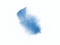 https://ekladata.com/5t4CRetilzFmPgaJ4sm_dNTiGRw/boites-de-plumes-bleu.jpg