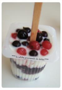 PETIT SUISSE GLACÉE AUX FRUITS ROUGES