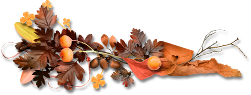 Barre séparation automne - Pléiade de tubes chez Magnolias