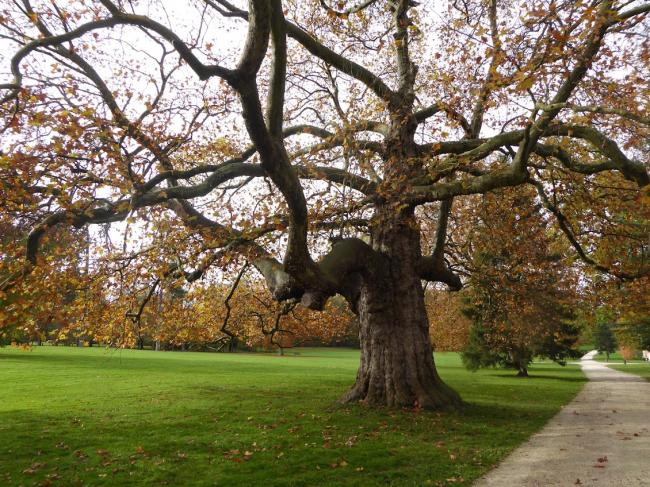 Randonnée autour du Parc de Rentilly en Seine-et-Marne