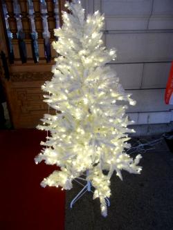  * Au Palais de la Bourse à Lille