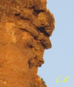 Eau, arbres et rochers émanants de l'été