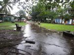 Carnet de route Costa Rica