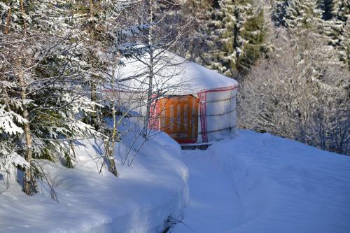 GALERIE PHOTOS