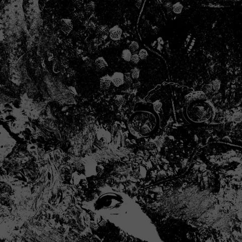 PRIMITIVE MAN / UNEARTHLY TRANCE - Les détails du prochain split album