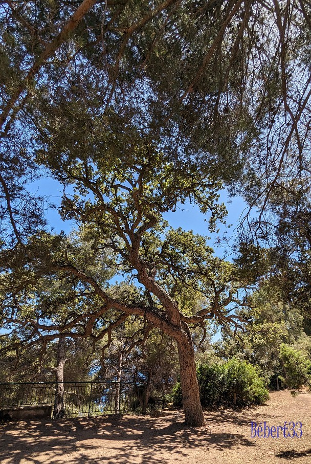 Le Pradet dans le Var - 2
