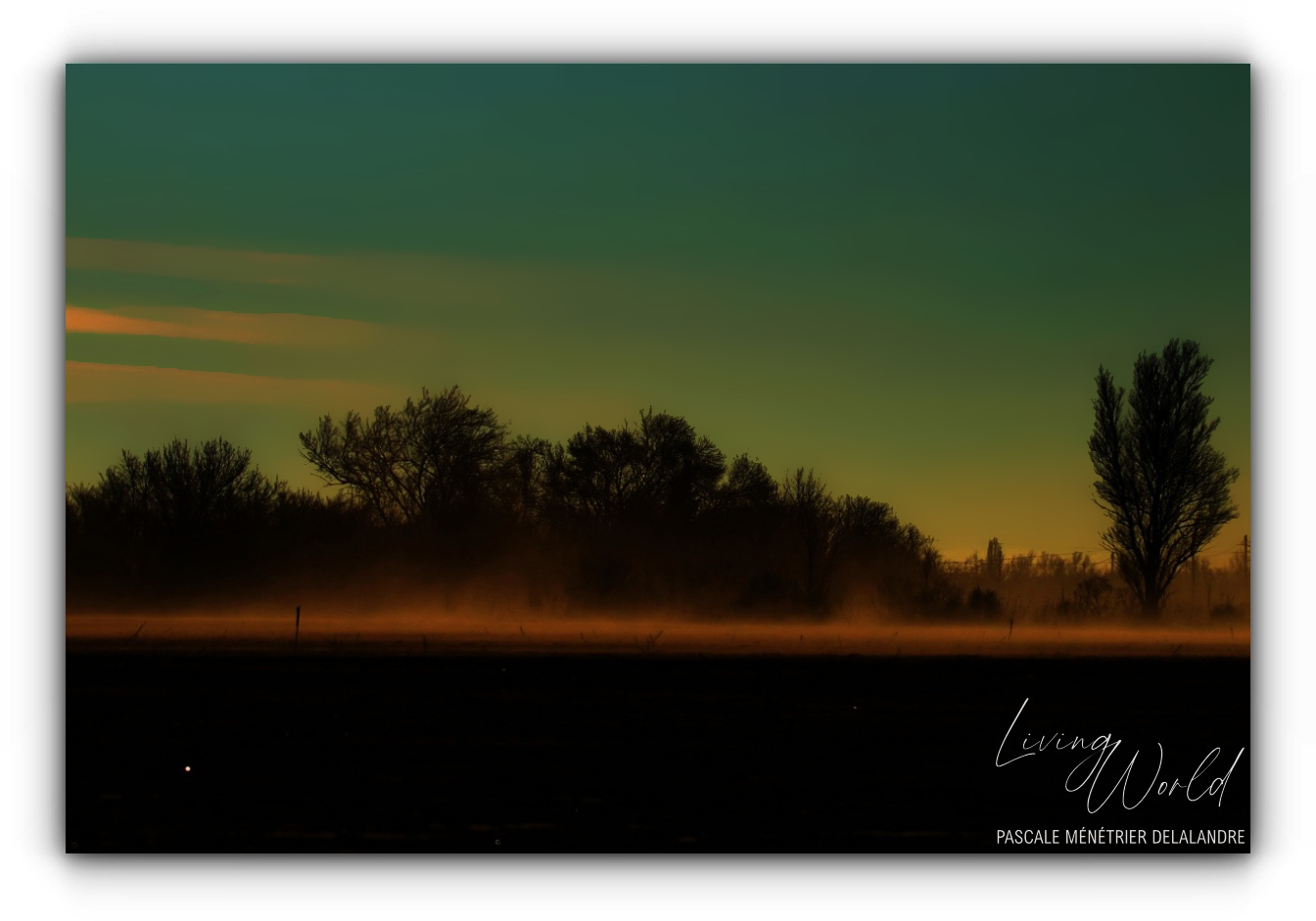 Coucher du soleil en petite Camargue