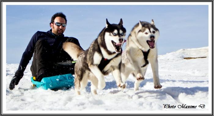 Huskys des neiges III (12 avril 2019)