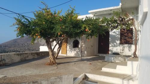 TILOS, balade à MEGALO CHORIO !