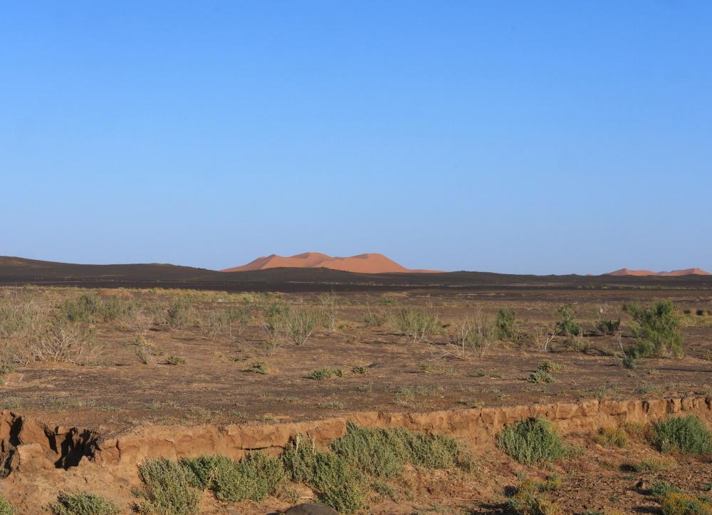 Les dunes de Merzouga