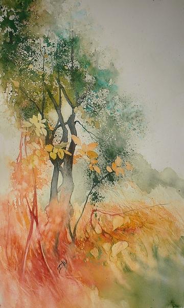Aquarelles d' Isalelle Nicolas Maignan
