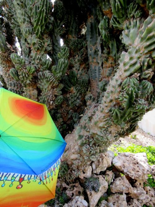 Arbres d'exception et parapluies rares