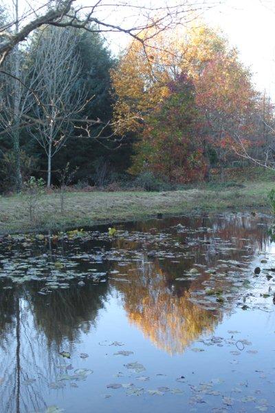 jardin à St Urbain 020