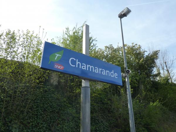 Randonnée en forêt de Chamarandes