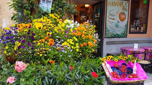 Le remède à la morosité