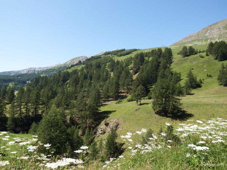 le Foux d'Allos