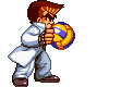 Gifs animees