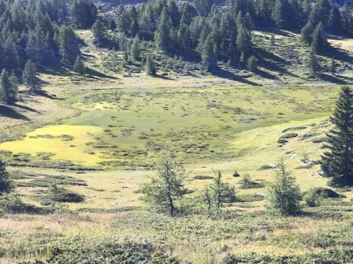 Sommet du Col Bas - Lac Noir 