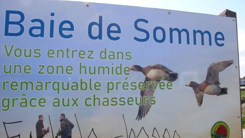 "En Baie de Somme" - Mardi 17 septembre 2024