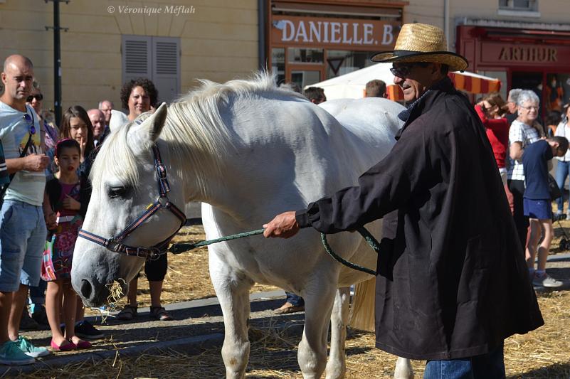 Rambouillet : La fête de Saint Lubin