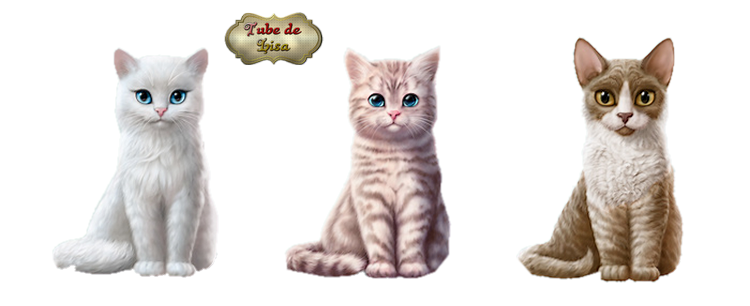 Animaux série 34