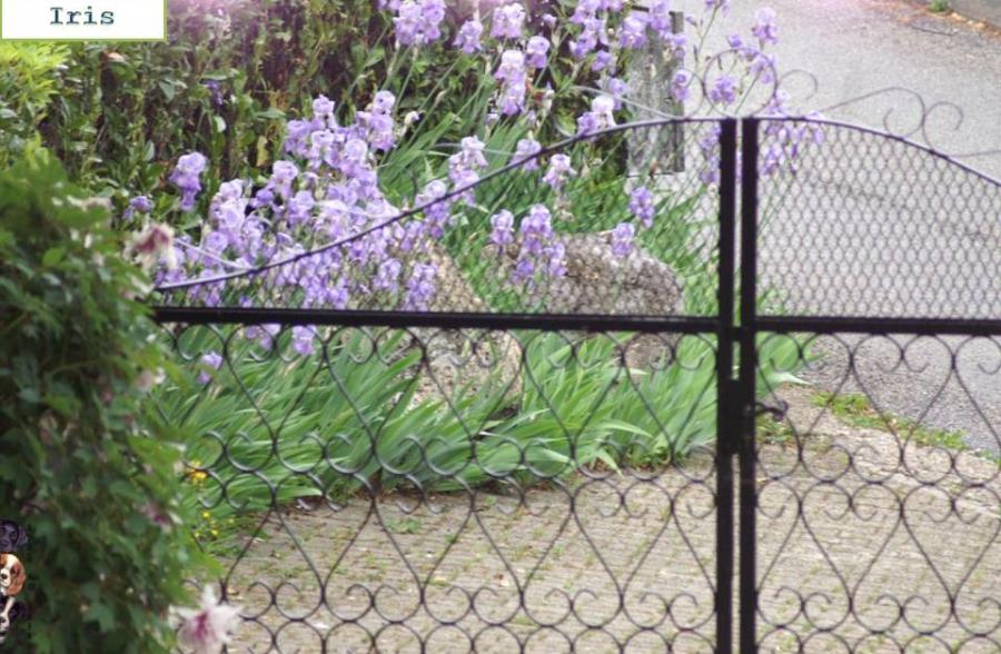 Mon univers au 17/5/2022