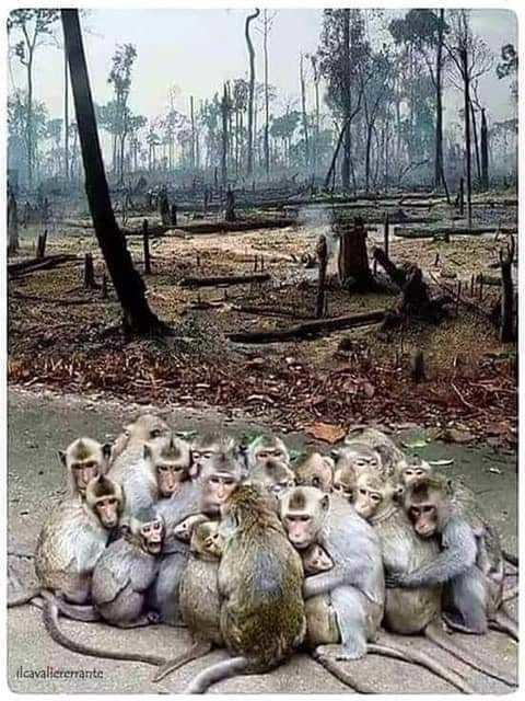 Planete