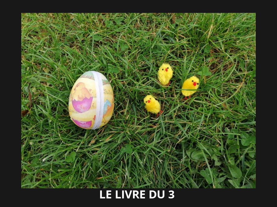 Le livre du 3 (version "poussins")