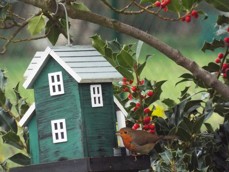 Les visiteurs au jardin ...