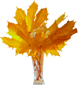 bouquet d'automne