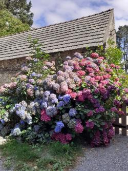 Vacances j'oublie tout !