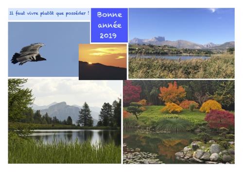 Bonne année 2019