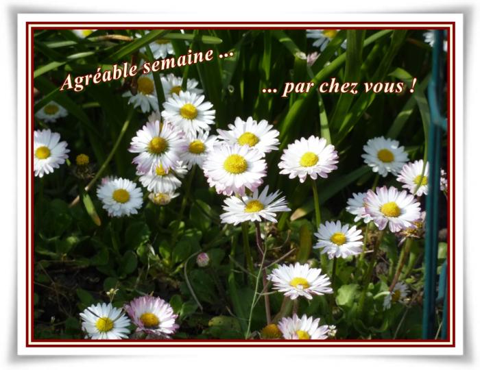 Hum ! Les moules ...