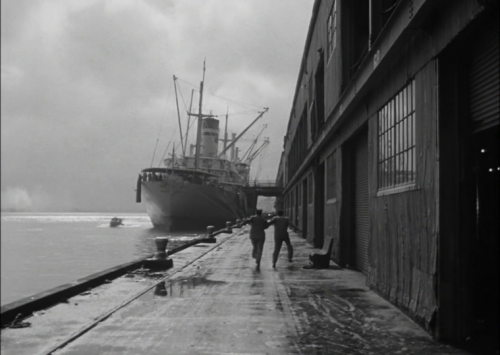 Panique dans la rue, Panic in the streets, Elia Kazan, 1950