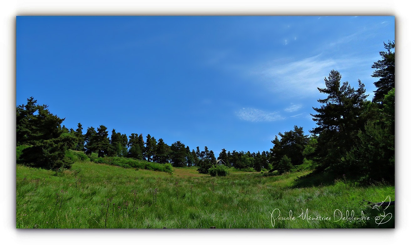 Balade au Mont Lozère