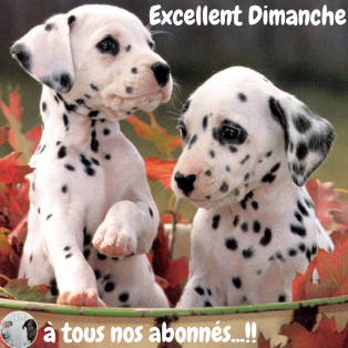 ATC "Lapinou"