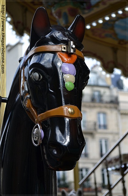 Les chevaux de l'Hôtel de Ville 3