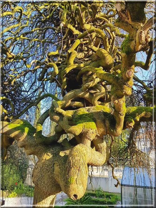 906 - Suite9 : -Notre Chemin vers St Jacques de Compostelle à travers ses anecdotes-