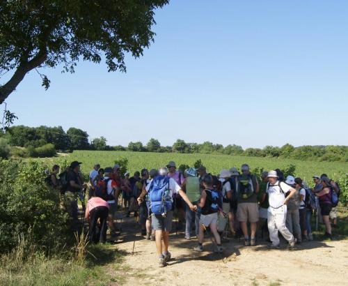 Le sentier des Cabottes 16 juillet