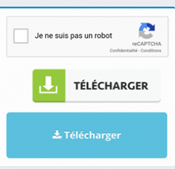 Lien Mort
