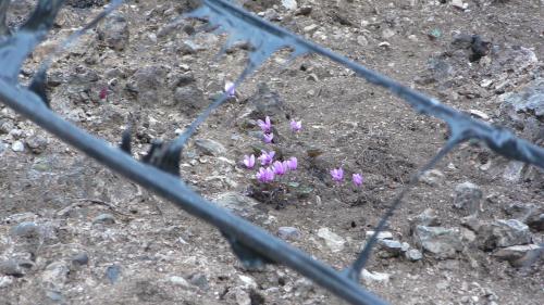 La flamme de l'espoir