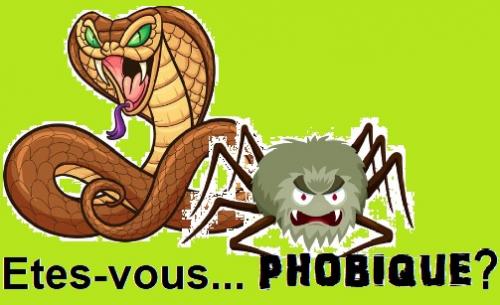 êtes-vous phobiques ?