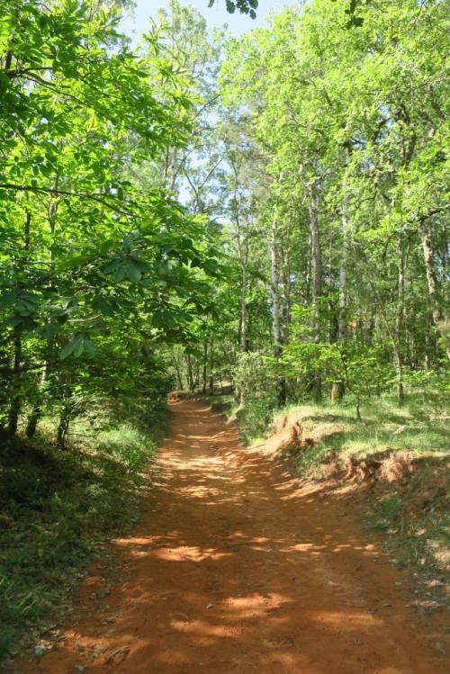Visite du Colorado Provençal à Rustrel