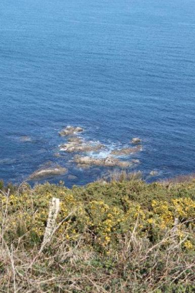 Entre Plougasnou et St Jean du doigt (4)