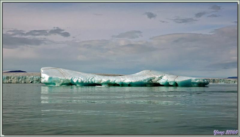 Glacier au front d'une incroyable couleur turquoise et iceberg non moins coloré - Bethune Inlet - Devon Island - Nunavut - Canada